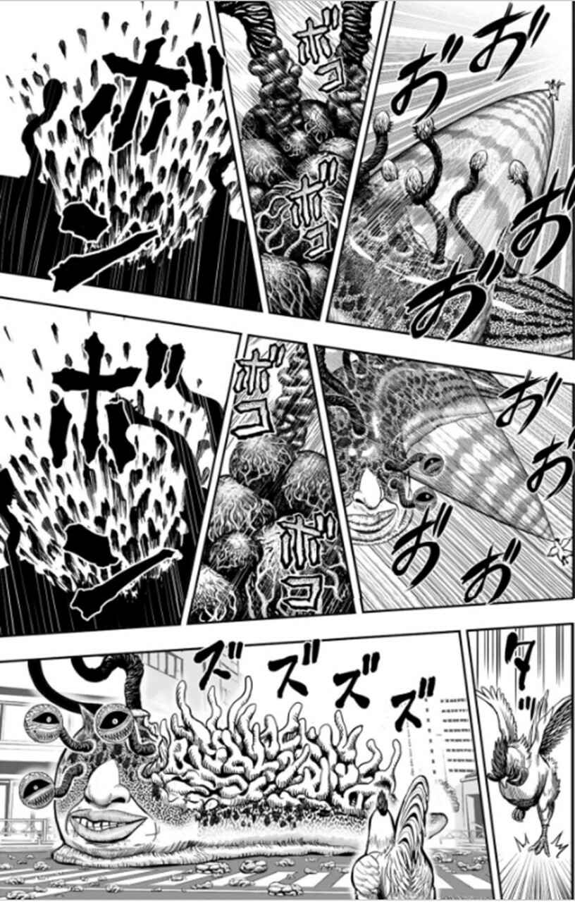 Page 21 Chapter 6 Rooster Fighter