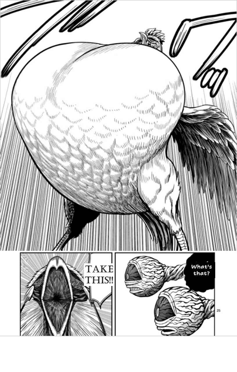 Page 25 Chapter 6 Rooster Fighter