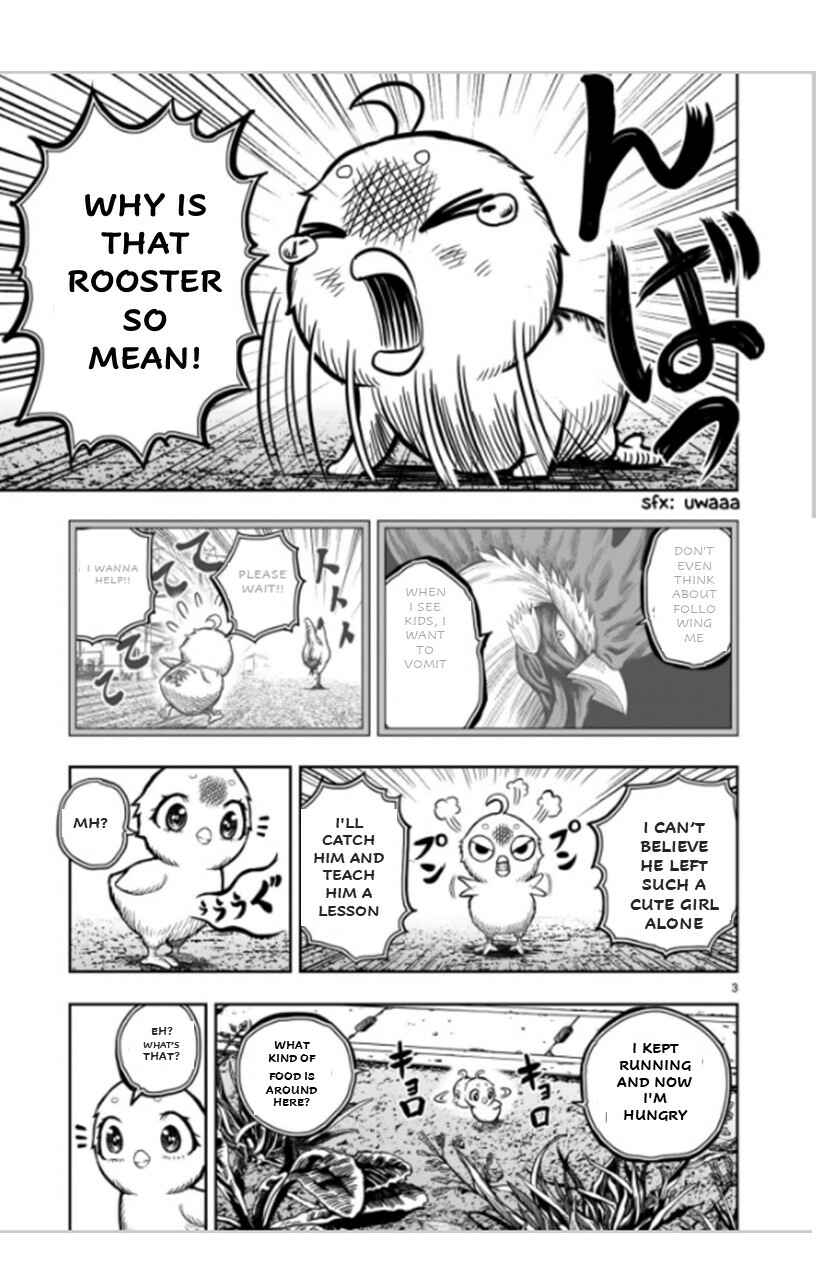Page 3 Chapter 6 Rooster Fighter