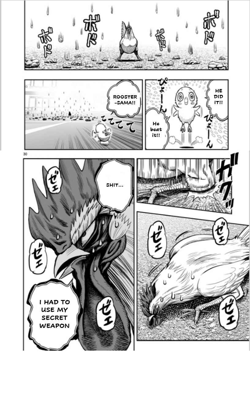 Page 30 Chapter 6 Rooster Fighter