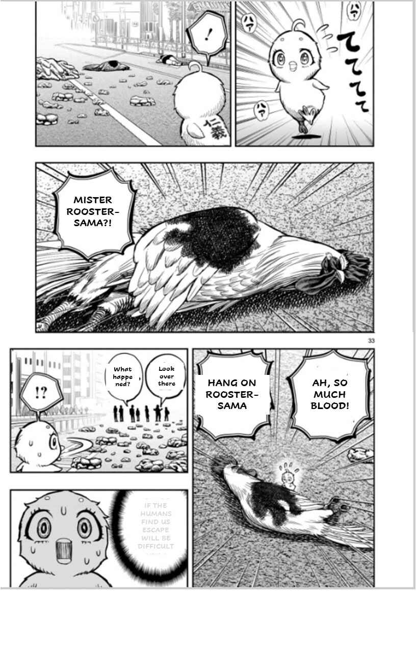 Page 33 Chapter 6 Rooster Fighter