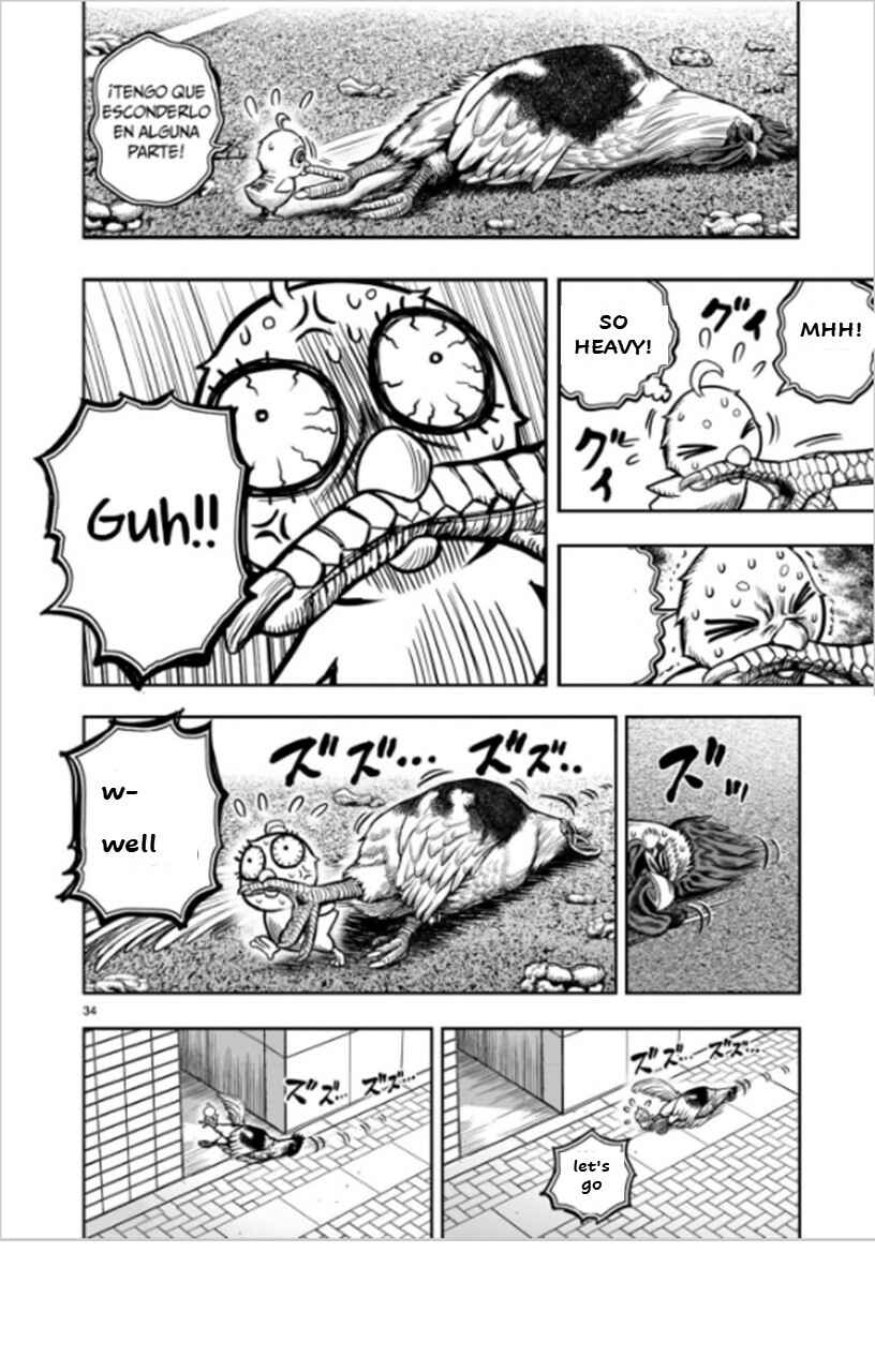 Page 34 Chapter 6 Rooster Fighter