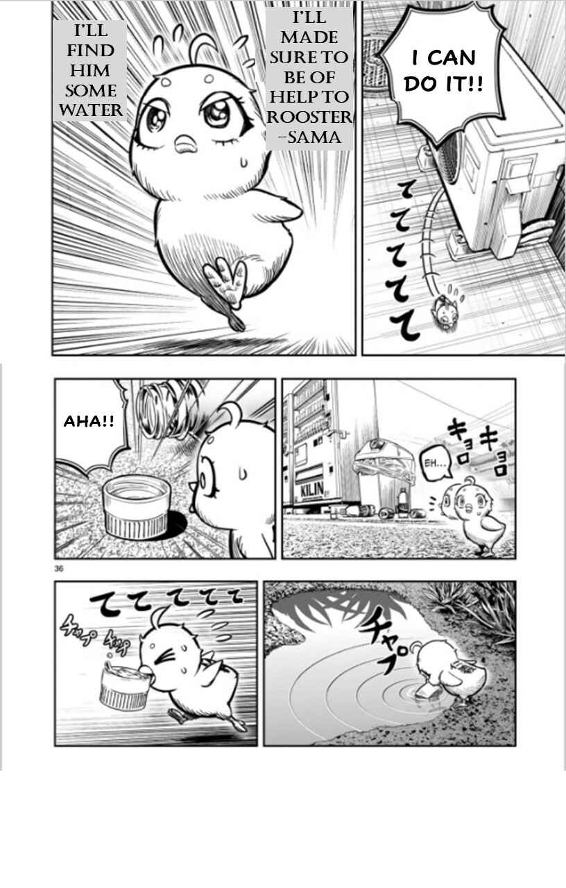 Page 36 Chapter 6 Rooster Fighter