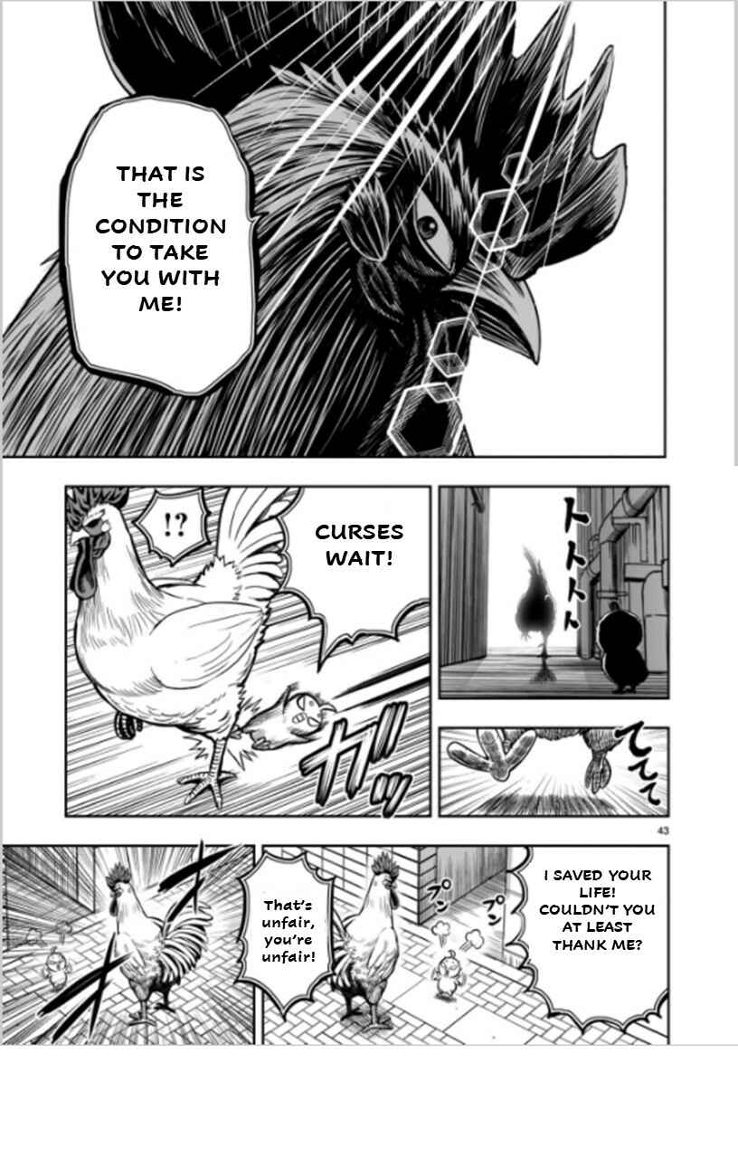Page 43 Chapter 6 Rooster Fighter