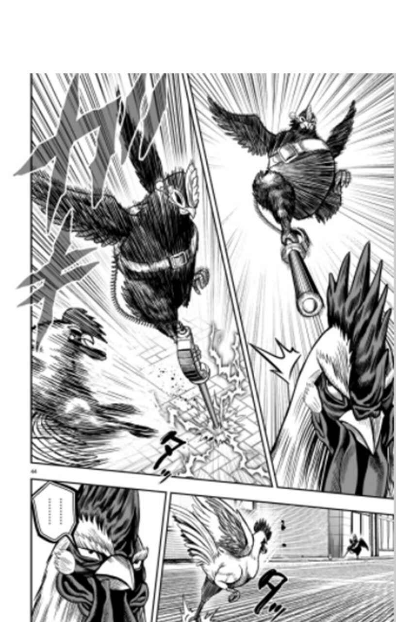 Page 44 Chapter 6 Rooster Fighter