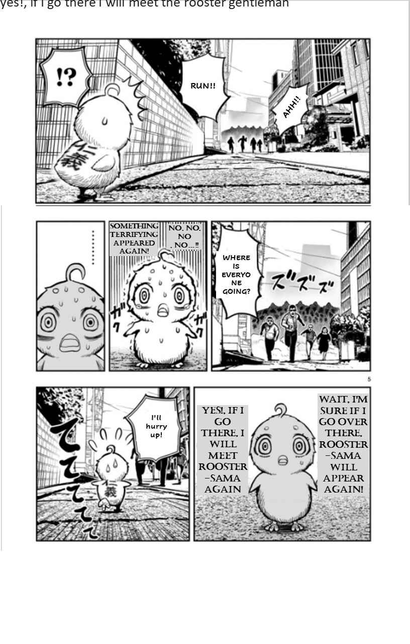 Page 5 Chapter 6 Rooster Fighter