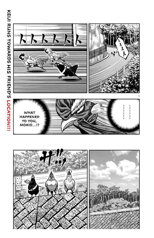 Page 1 Chapter 21 Rooster Fighter