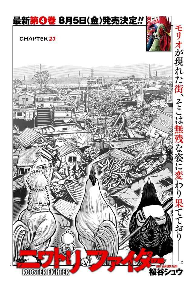 Page 2 Chapter 21 Rooster Fighter