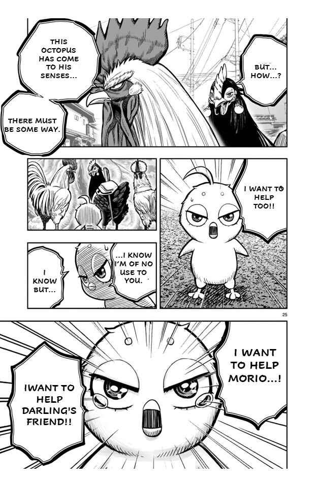 Page 25 Chapter 21 Rooster Fighter