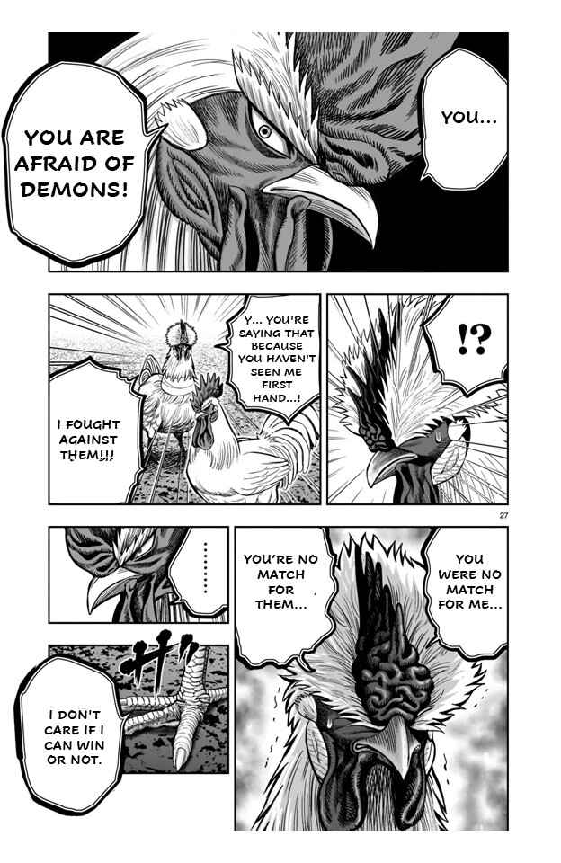 Page 27 Chapter 21 Rooster Fighter