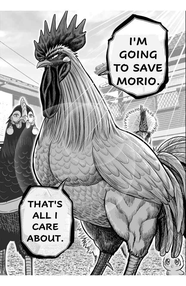 Page 28 Chapter 21 Rooster Fighter