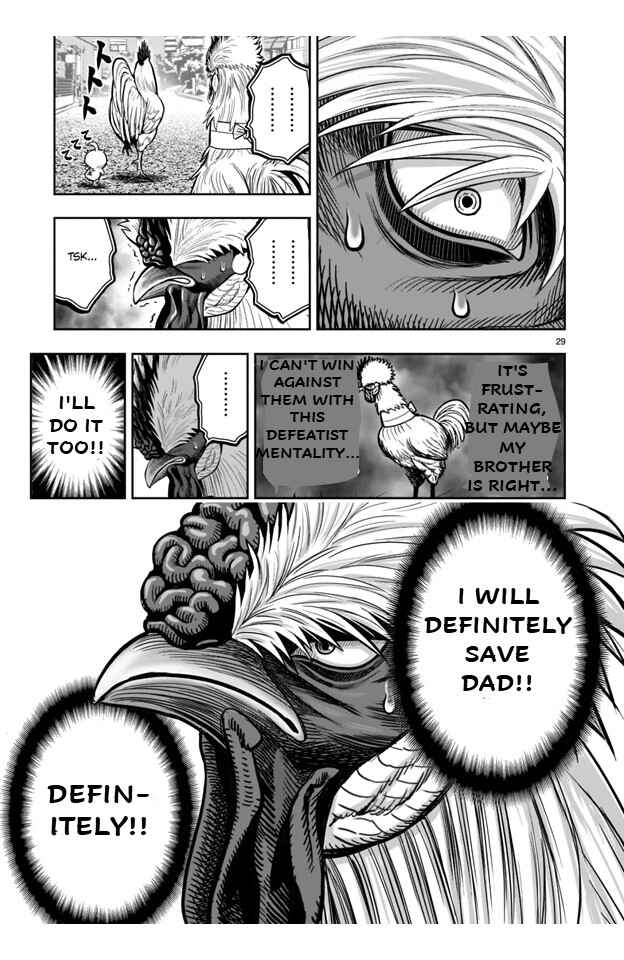Page 29 Chapter 21 Rooster Fighter