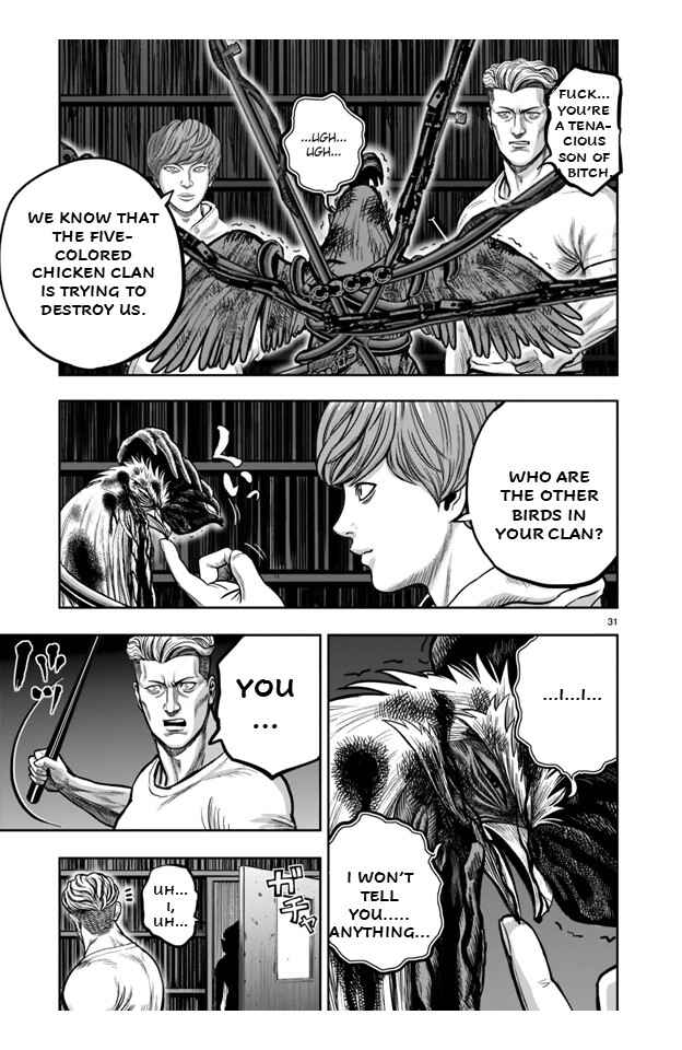 Page 31 Chapter 21 Rooster Fighter
