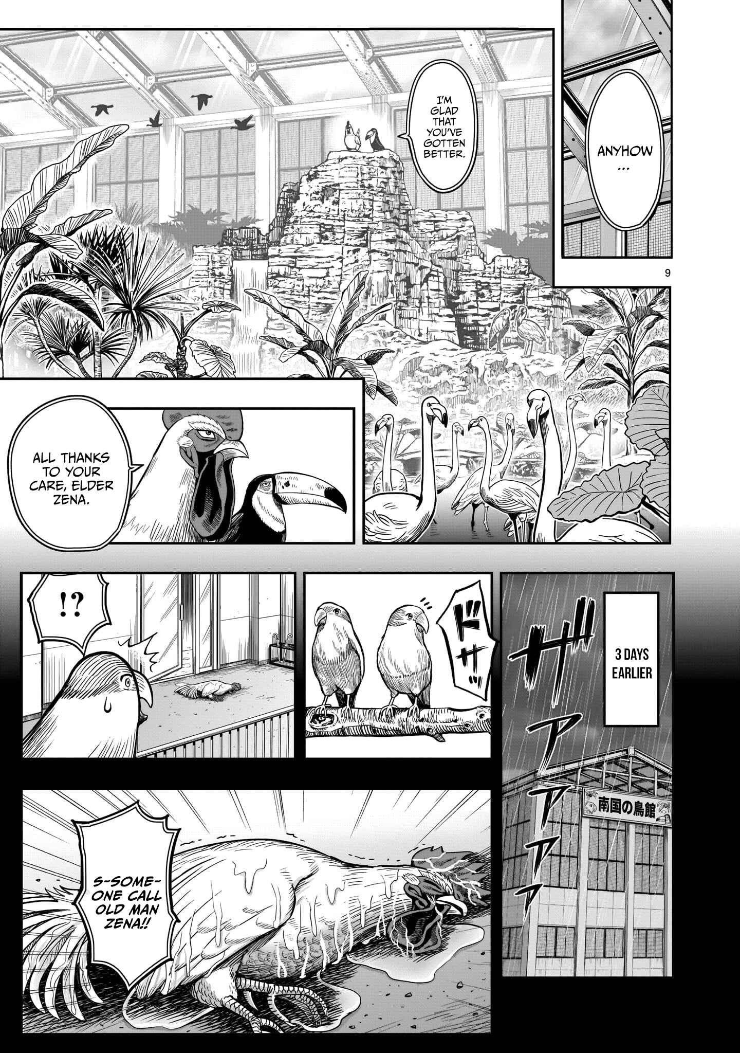 Page 11 Chapter 3 Rooster Fighter