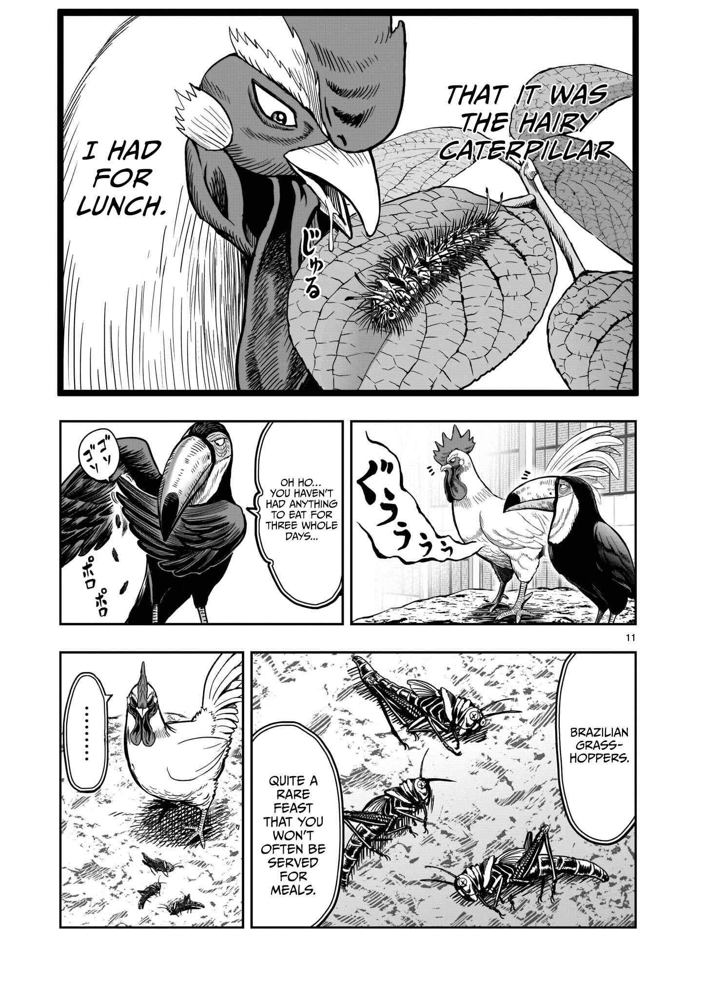 Page 13 Chapter 3 Rooster Fighter