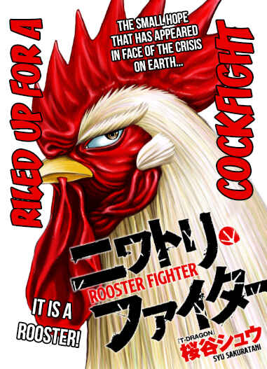 Page 2 Chapter 3 Rooster Fighter