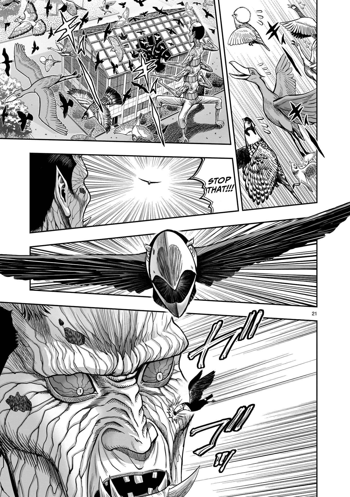 Page 22 Chapter 3 Rooster Fighter