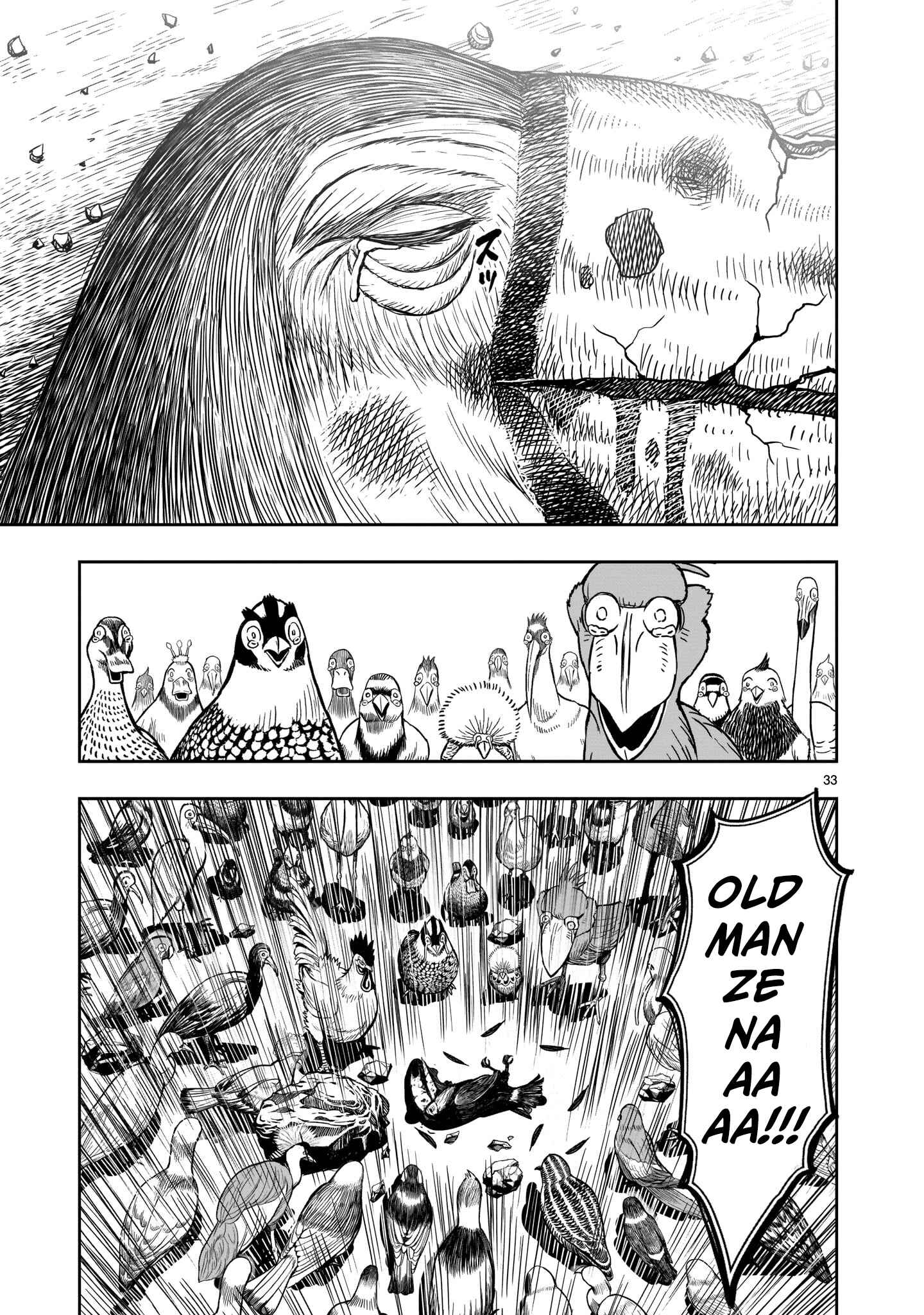 Page 33 Chapter 3 Rooster Fighter