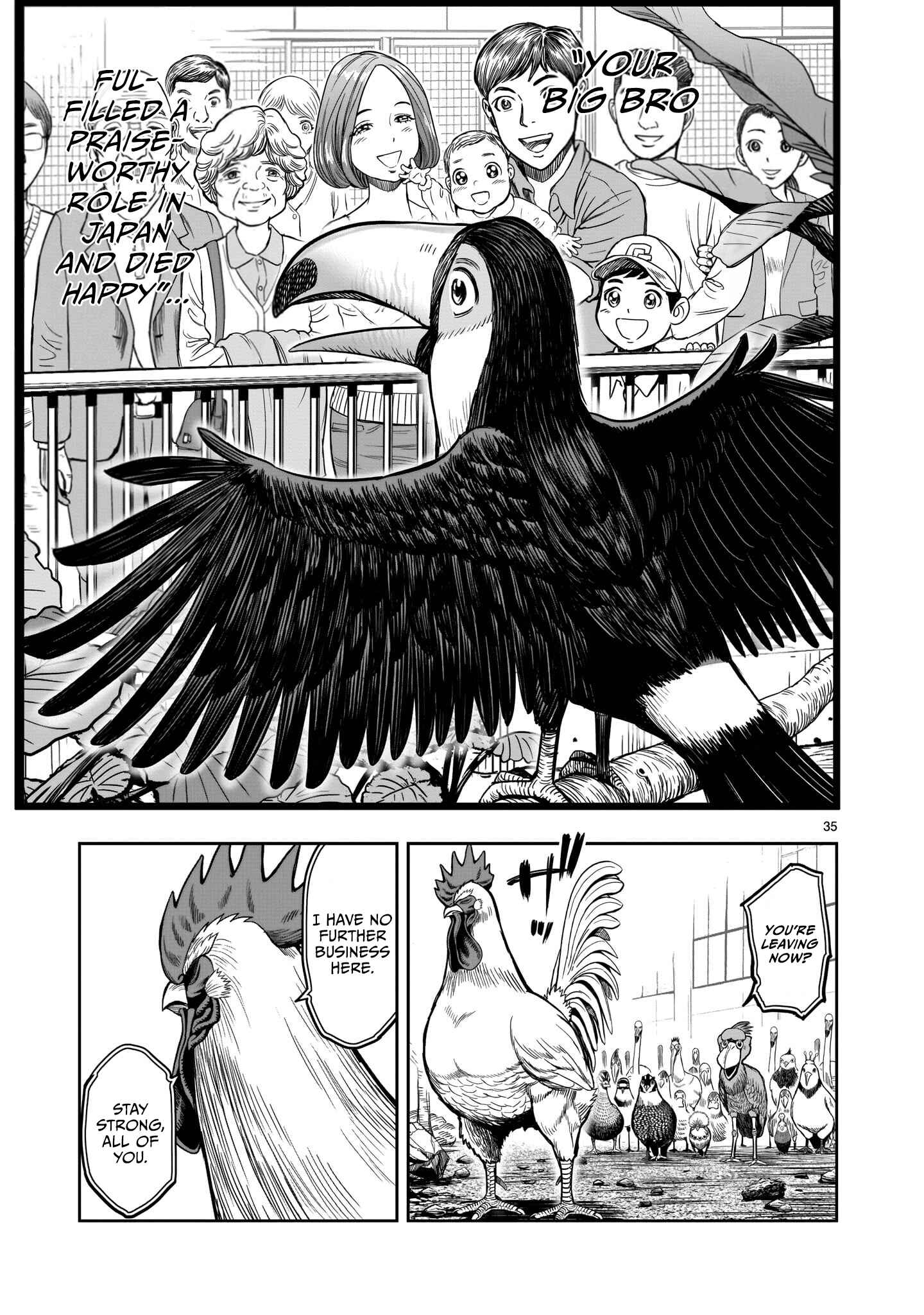 Page 35 Chapter 3 Rooster Fighter