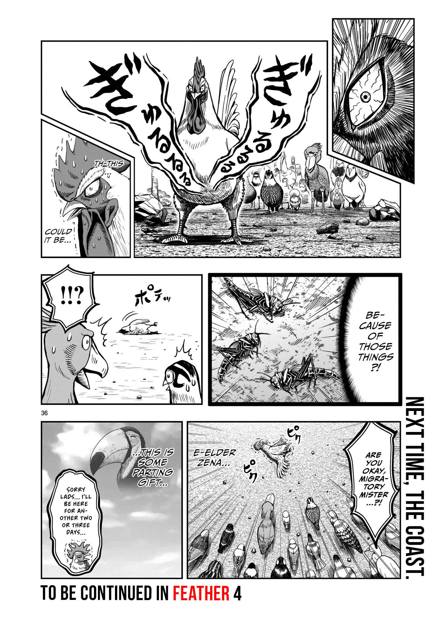 Page 36 Chapter 3 Rooster Fighter
