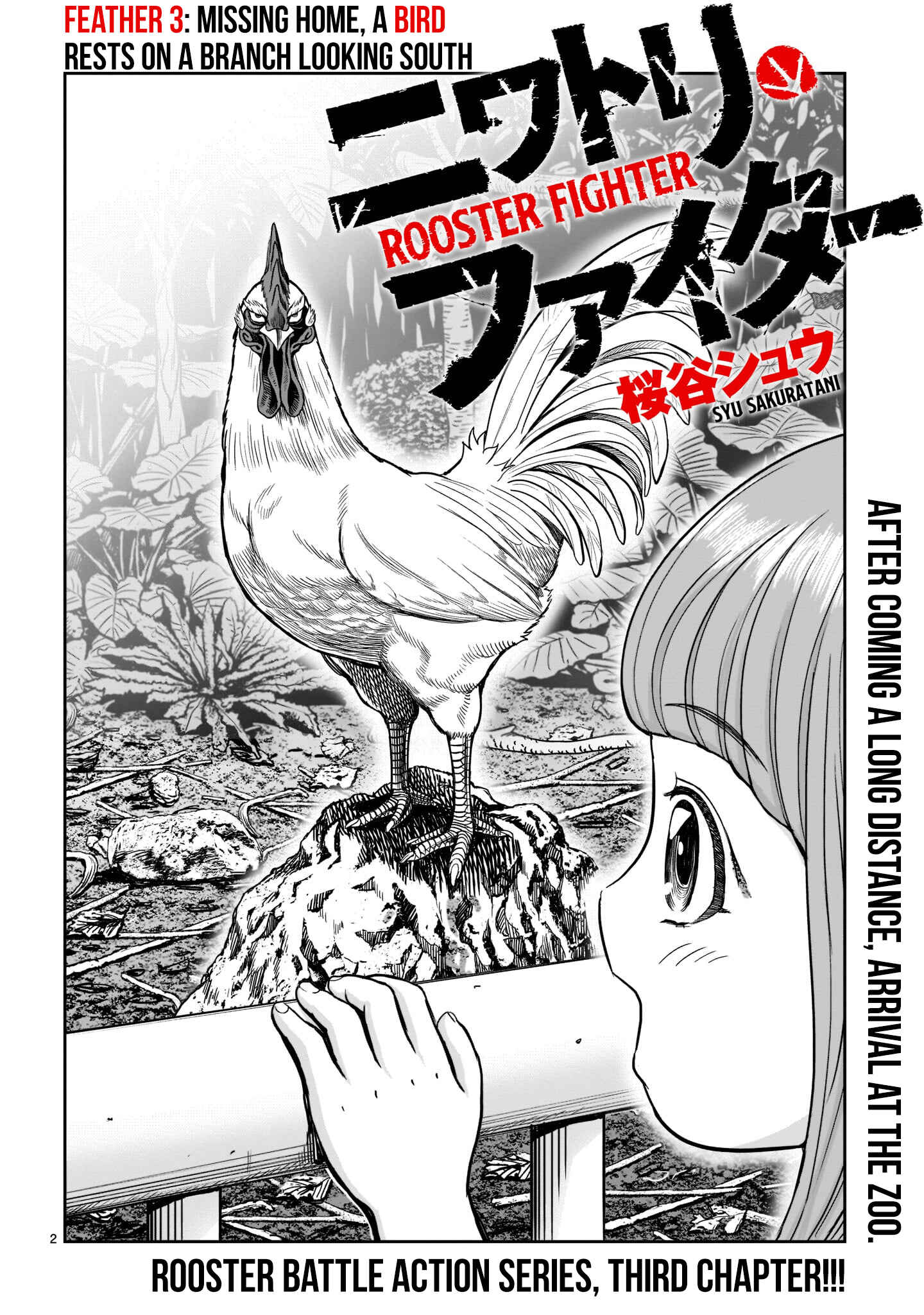 Page 4 Chapter 3 Rooster Fighter
