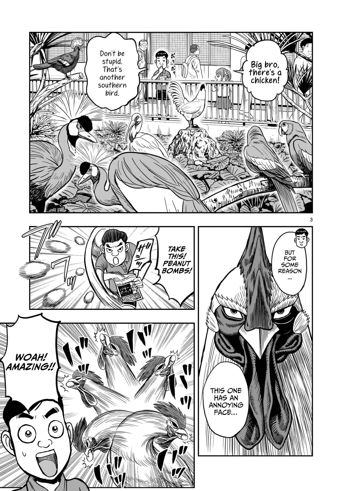Page 5 Chapter 3 Rooster Fighter