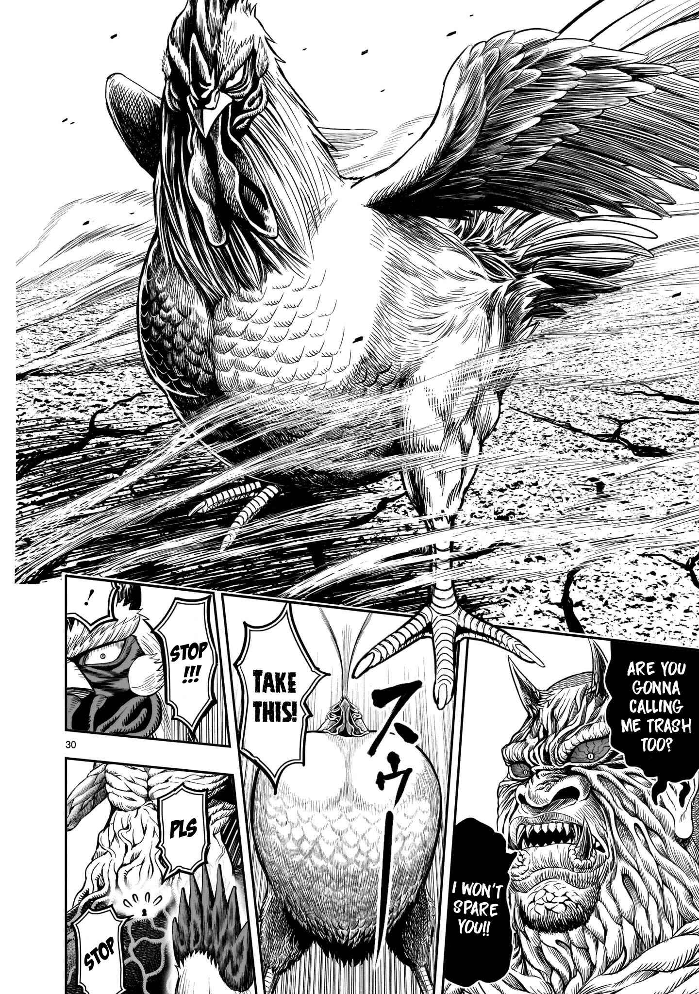 Page 30 Chapter 5 Rooster Fighter