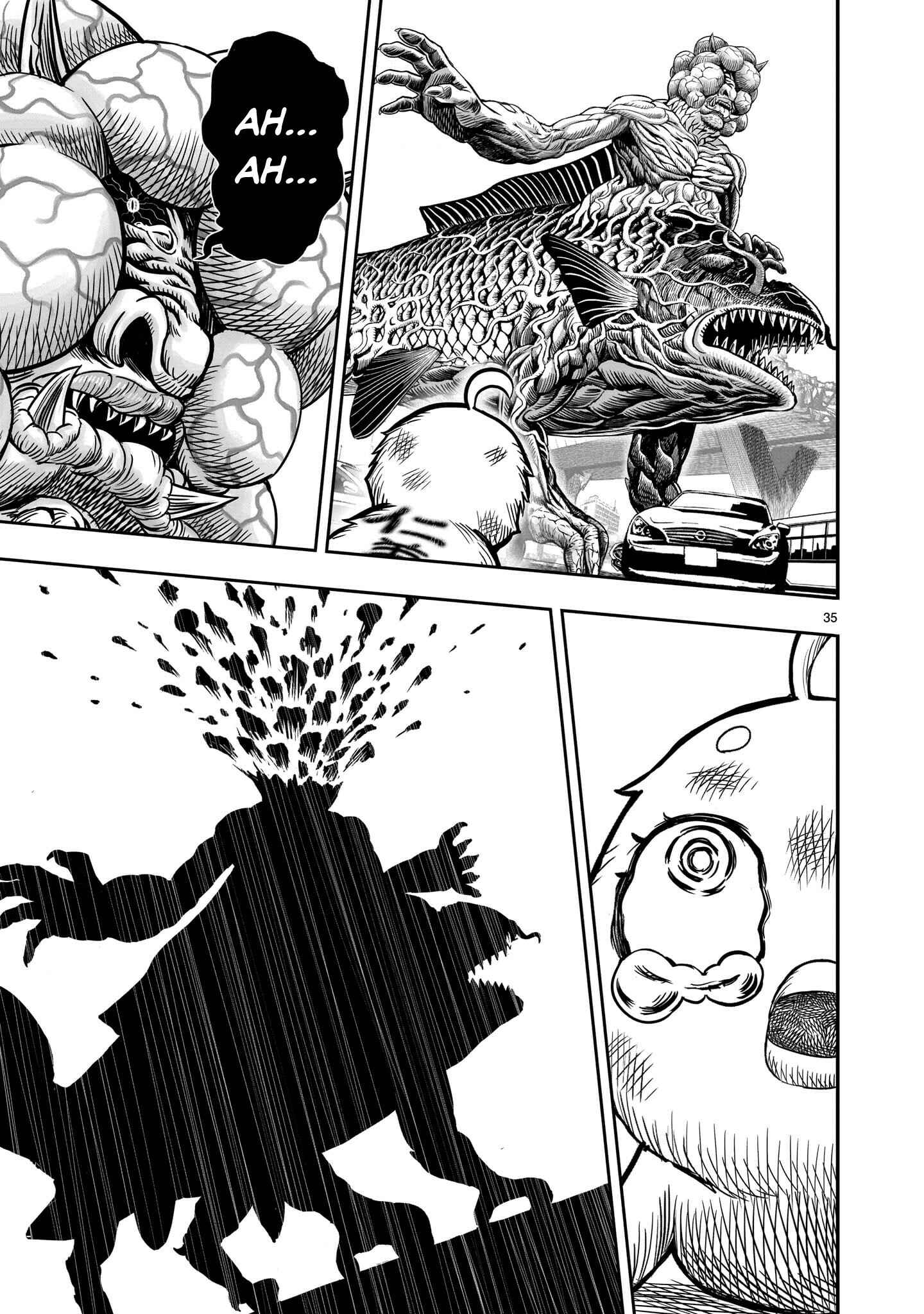 Page 35 Chapter 5 Rooster Fighter