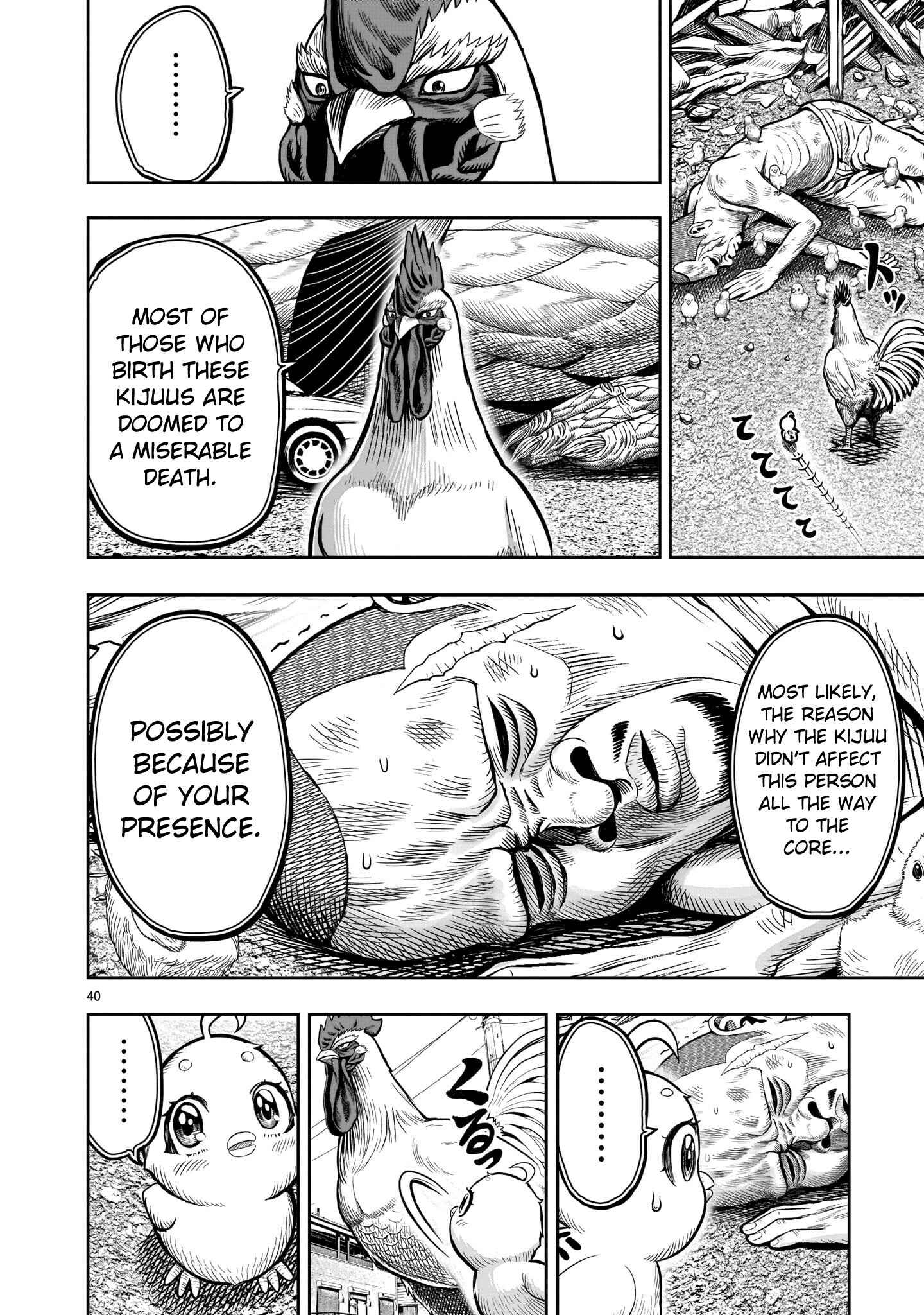 Page 40 Chapter 5 Rooster Fighter