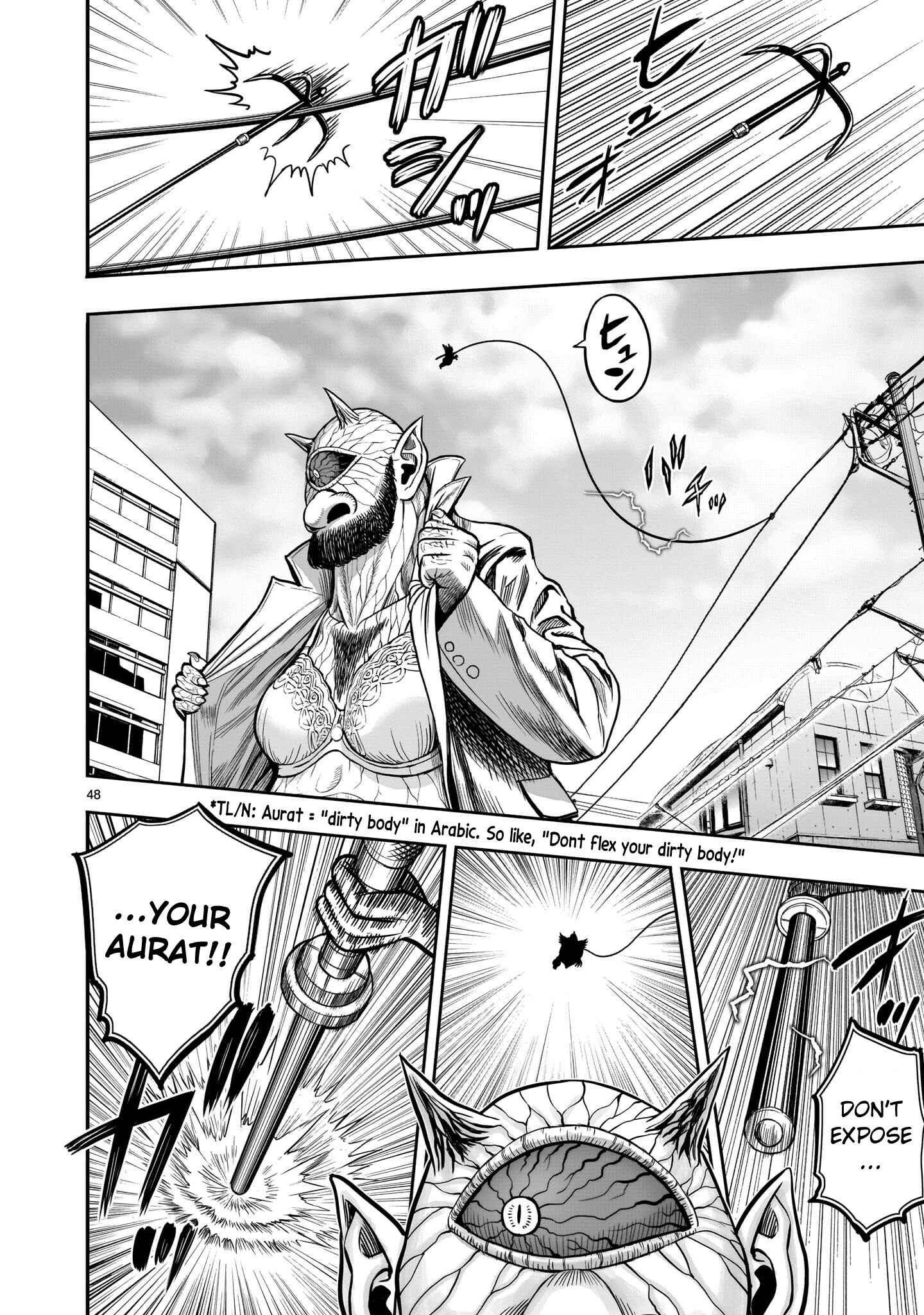 Page 48 Chapter 5 Rooster Fighter