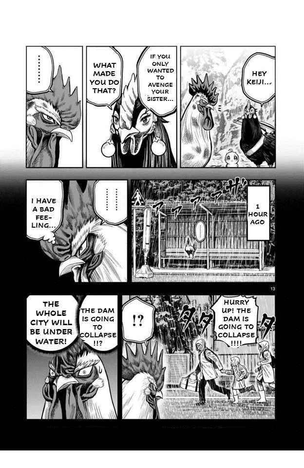 Page 13 Chapter 16 Rooster Fighter