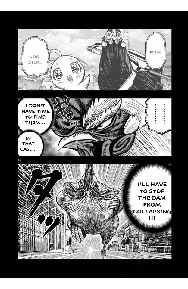 Page 14 Chapter 16 Rooster Fighter