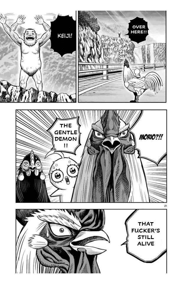 Page 21 Chapter 16 Rooster Fighter