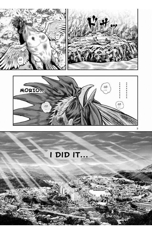 Page 3 Chapter 16 Rooster Fighter