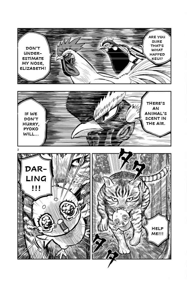 Page 2 Chapter 9 Rooster Fighter