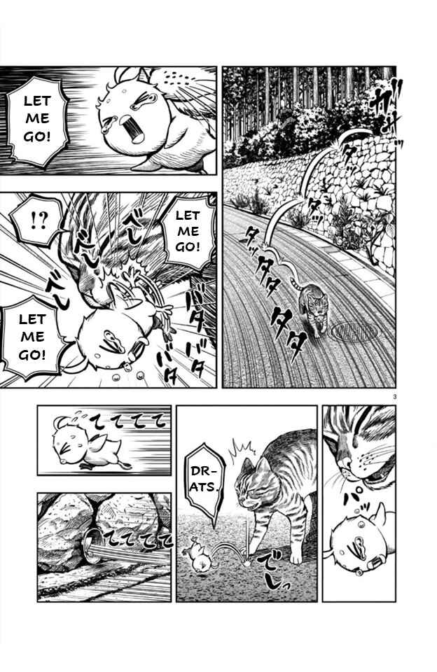 Page 3 Chapter 9 Rooster Fighter