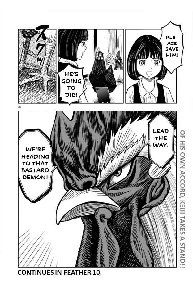 Page 36 Chapter 9 Rooster Fighter