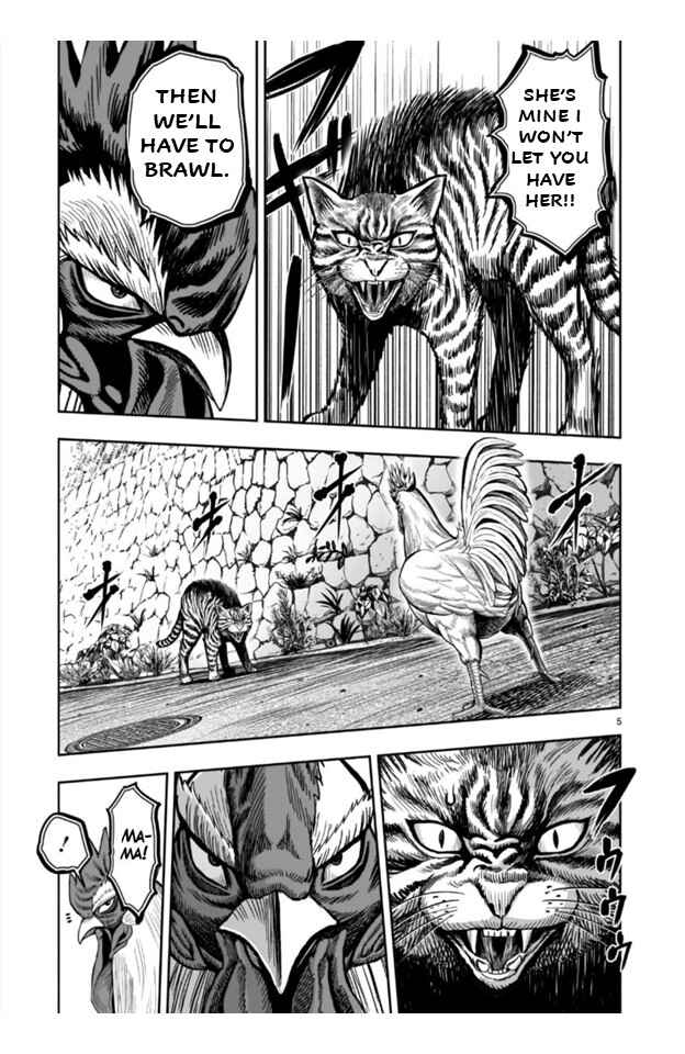 Page 5 Chapter 9 Rooster Fighter