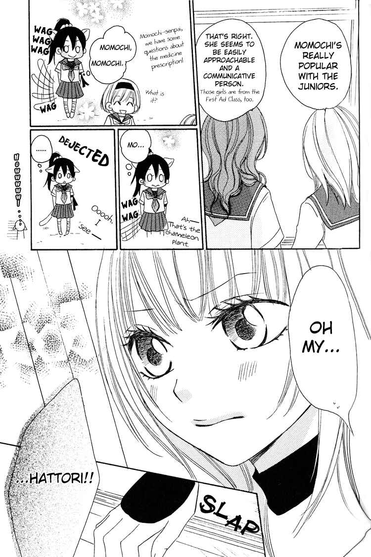 Page 5 Chapter 4 Honey Quartet