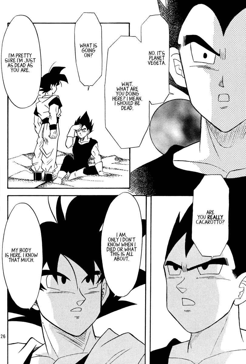 Page 25 Chapter Unknown_a4c8 Dragon Ball - Eternal Puzzle (Doujinshi)