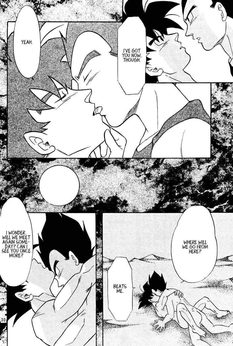 Page 29 Chapter Unknown_a4c8 Dragon Ball - Eternal Puzzle (Doujinshi)