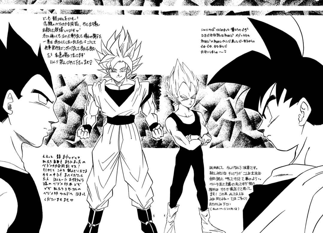 Page 4 Chapter Unknown_a4c8 Dragon Ball - Eternal Puzzle (Doujinshi)