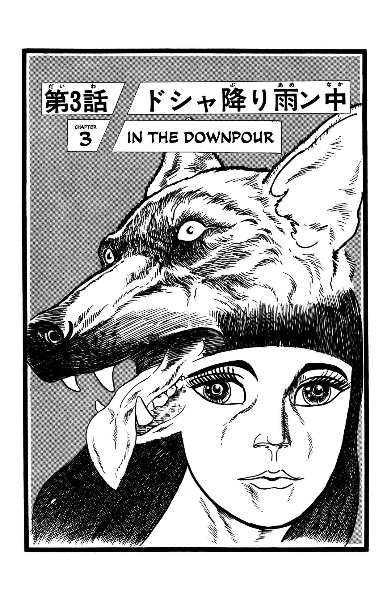 Page 1 Chapter 3 Woll