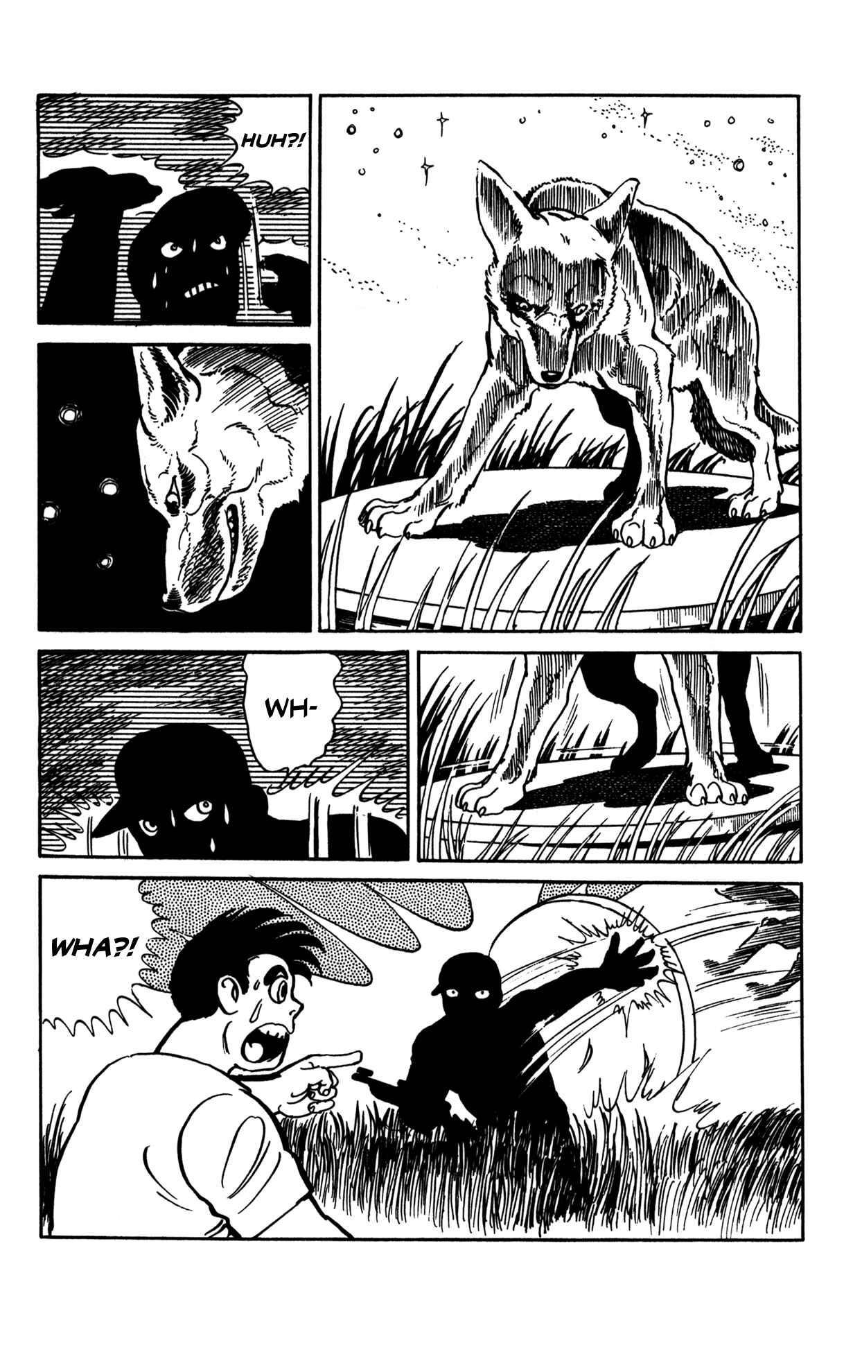Page 19 Chapter 5 Woll