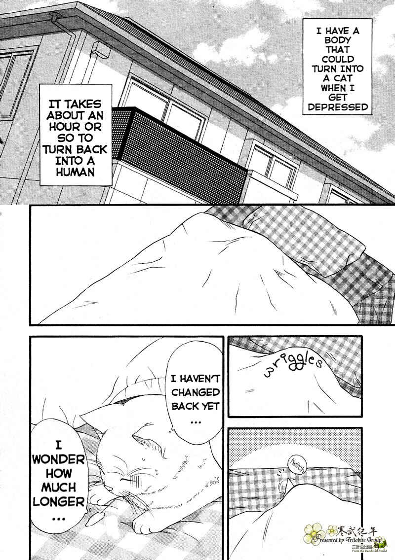 Page 4 Chapter 4 Neko Neko Honey