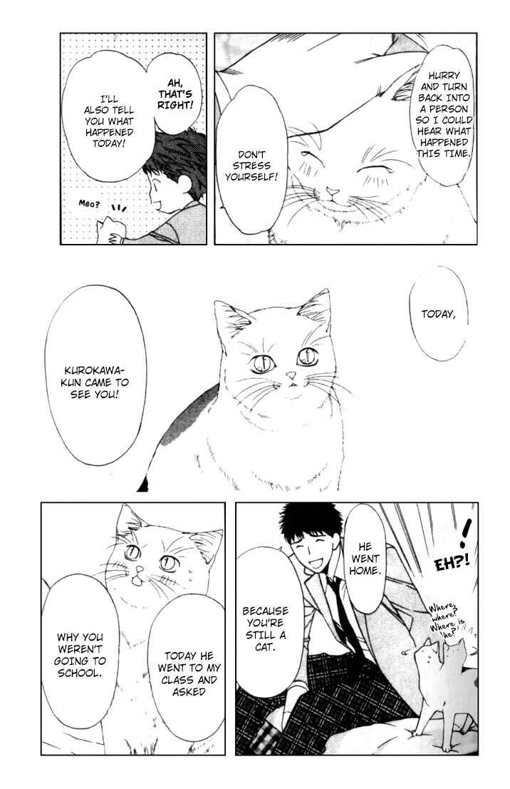 Page 7 Chapter 4 Neko Neko Honey