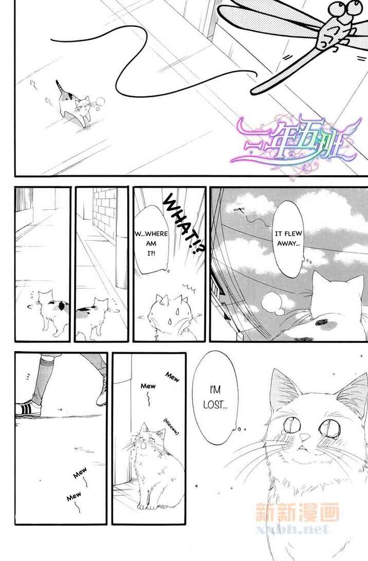 Page 3 Chapter 6.5 Neko Neko Honey