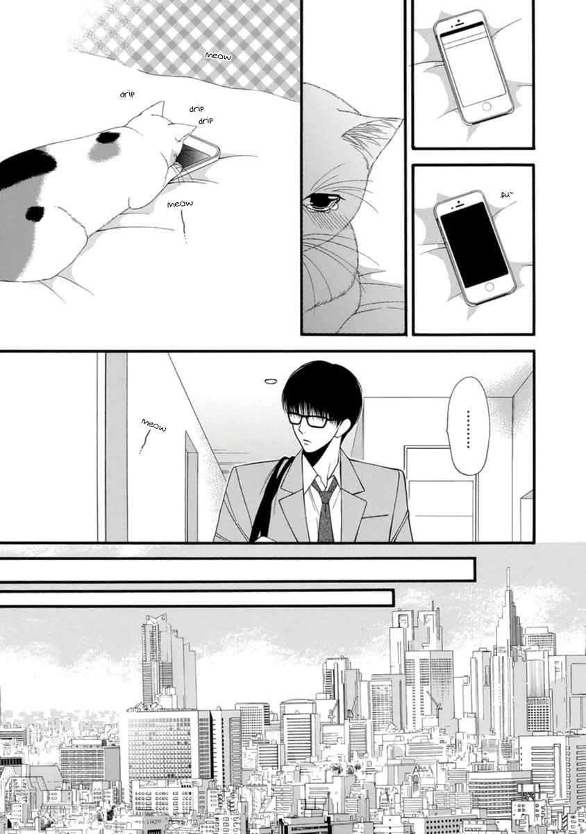 Page 11 Chapter 9 Neko Neko Honey