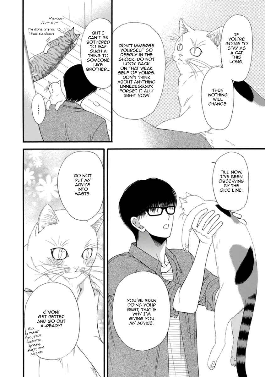 Page 16 Chapter 9 Neko Neko Honey