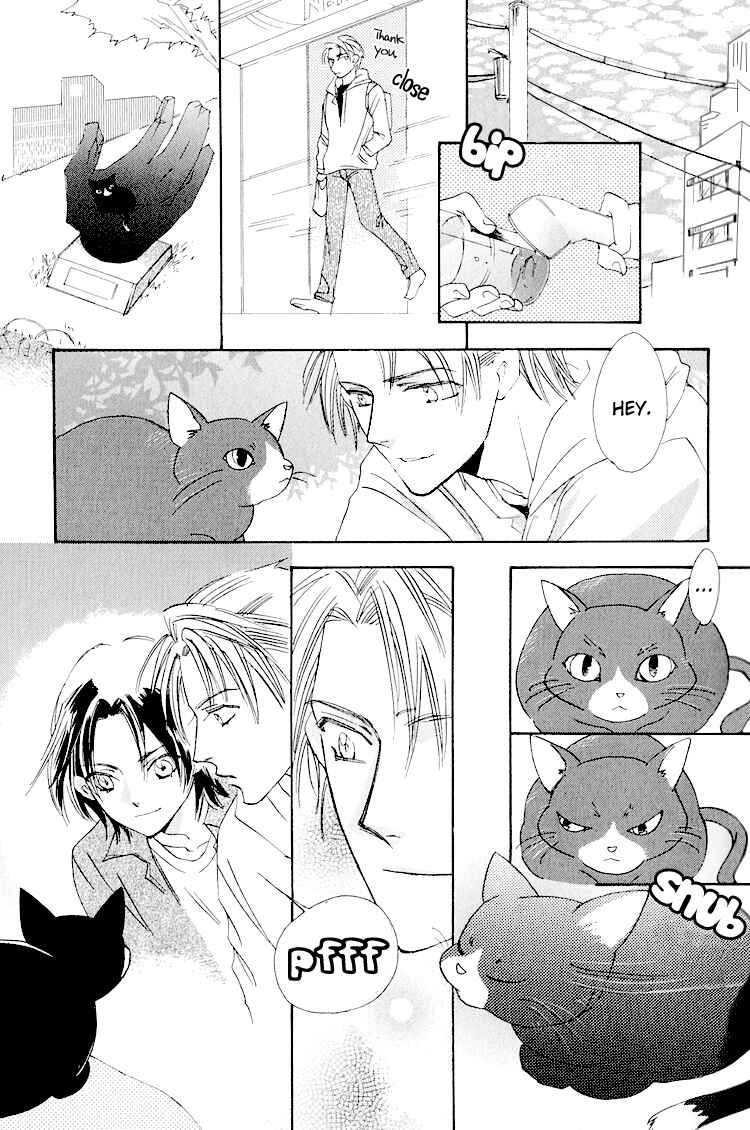 Page 13 Chapter 3 Anytown with the Light